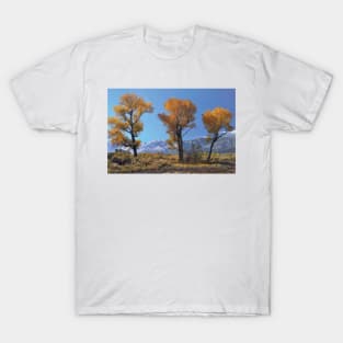 Cottonwood Trees Fall Foliage Carson Valley T-Shirt